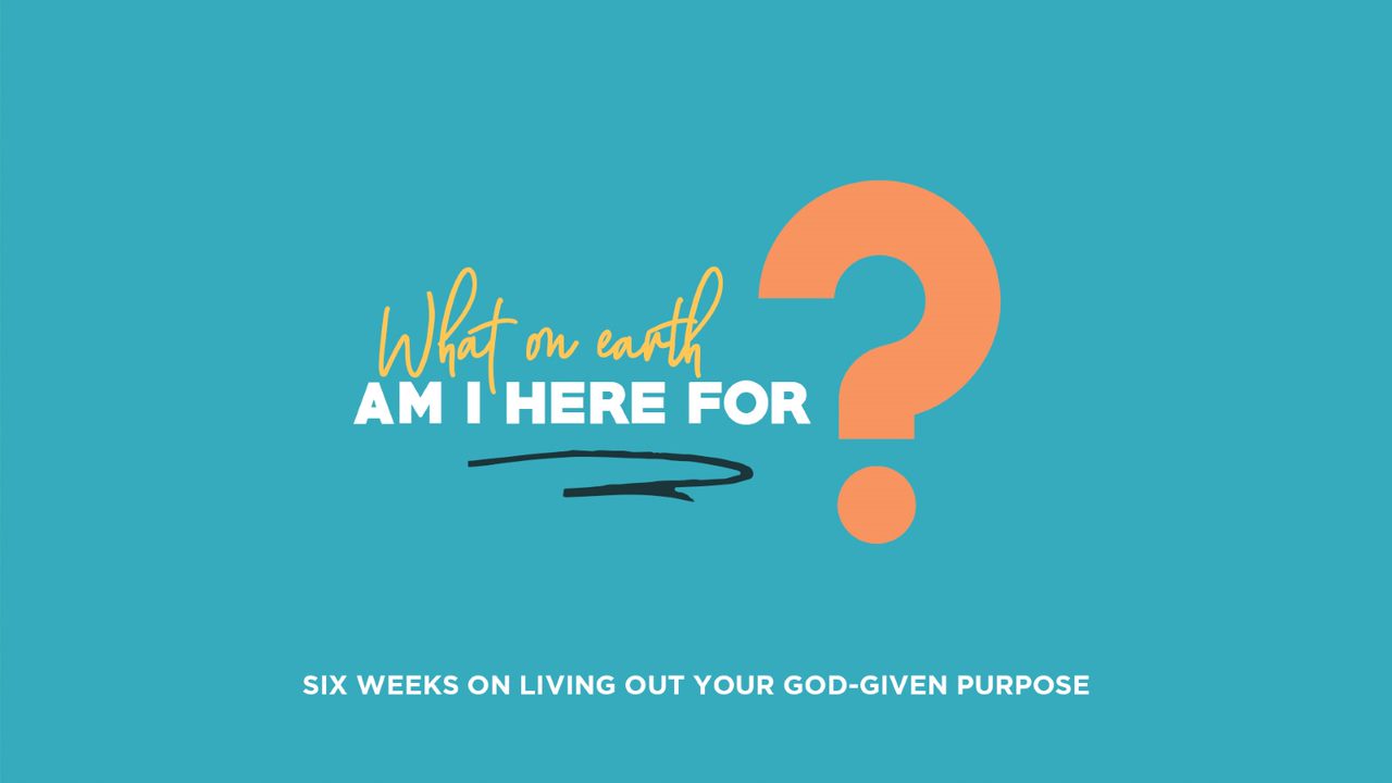 You Were Shaped To Serve Christ