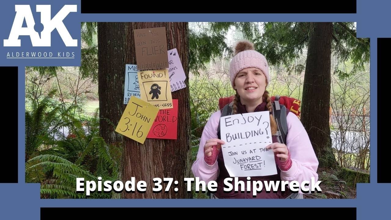 The Shipwreck